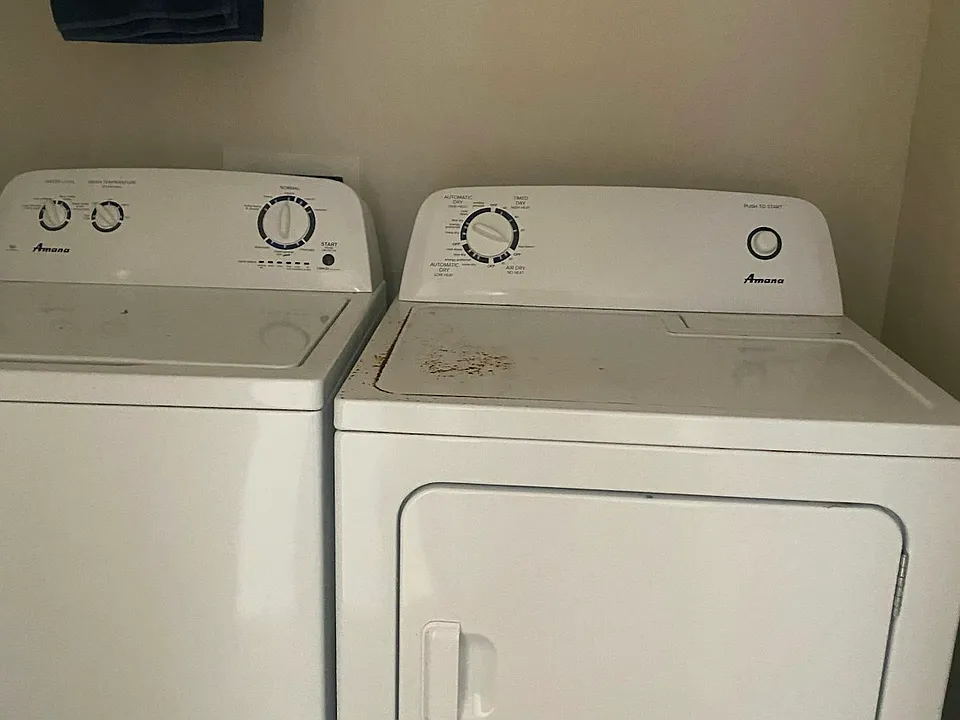 Wash and dryer