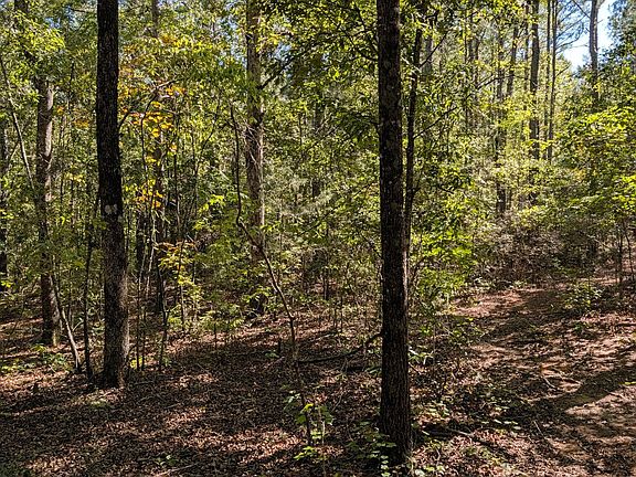 3rd image of 0 Chappell Mill Rd
