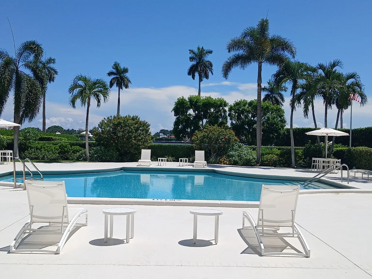 1 bed, 1.5 bath, 950 sqft, $3,500 — Photo 3