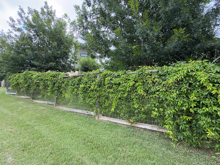 2117 Pershing Dr — Photo 38