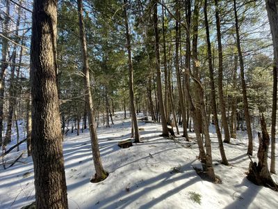 L63 Intervale Road, New Sharon, ME, 04955