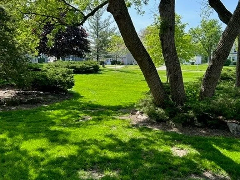 Lake Court Apartments — Photo 17