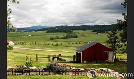 View from Living Room