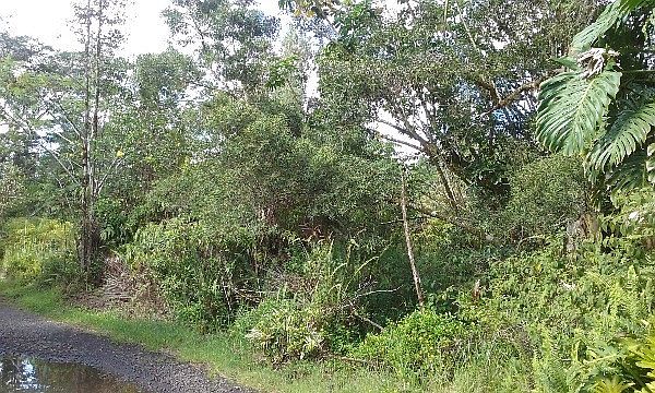 1st image of 10 Road Poouli