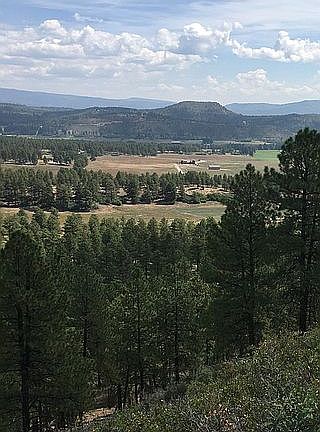 4th image of 1586 Bald Eagle Rd