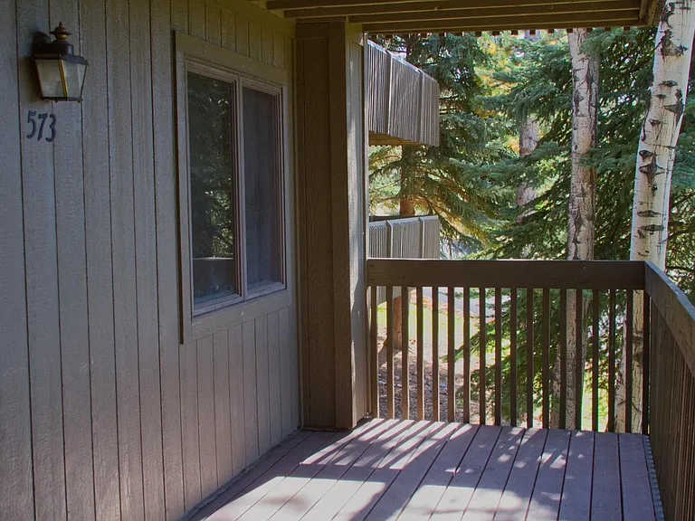 2605 N Pinon Rdg #573 — Photo 30