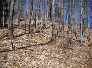 3116 Woods Dr, Harbor Springs, MI 49740