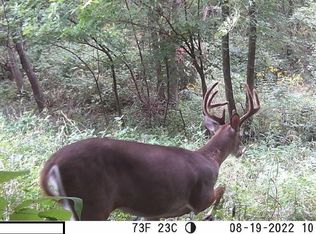 9960 Shach Creek Rd, Orrick, MO 64077