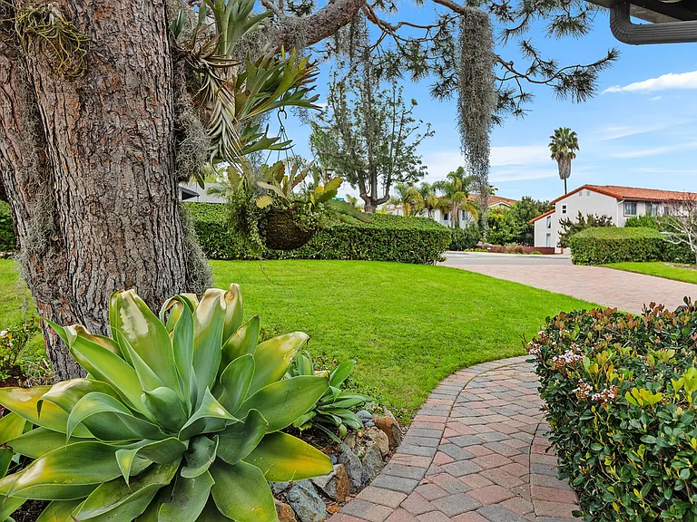 Front yard as seen from patio