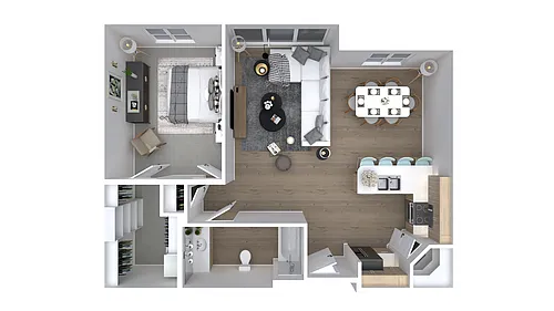 Floor plan Juniper -1x1