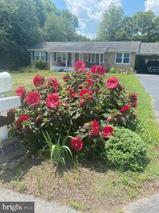 3008 Sunflower Dr, Ijamsville, MD, 21754