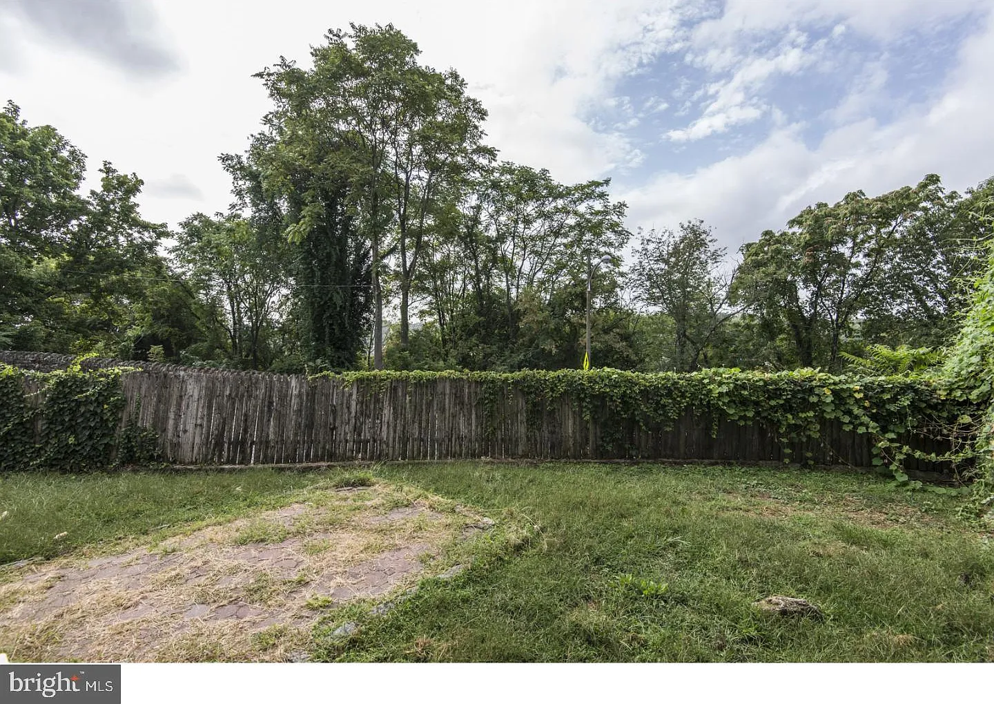 3 bed, 1.5 bath, 1152 sqft, $2,000 — Photo 4
