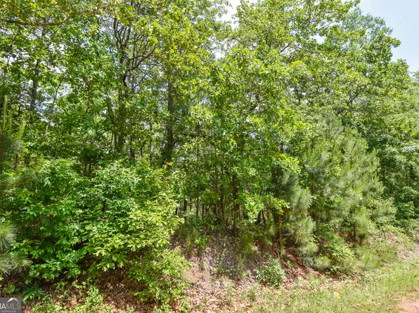 0 Skelton Rd Lot 11, Thomaston, GA 30286