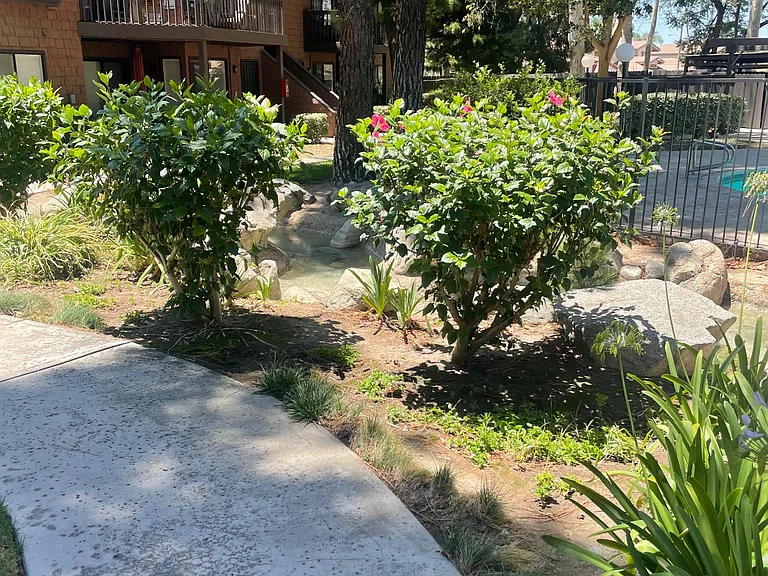 320 W Walnut St #30 — Photo 12