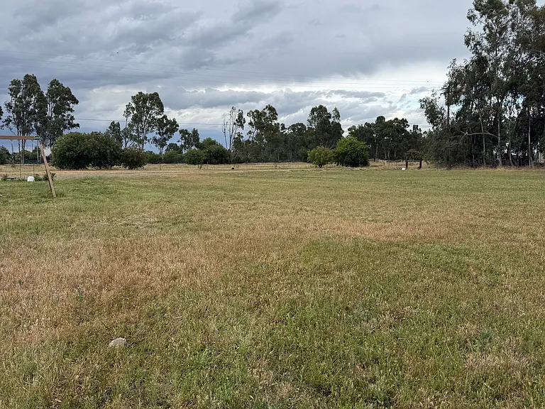 Sheldon Rd — Photo 2