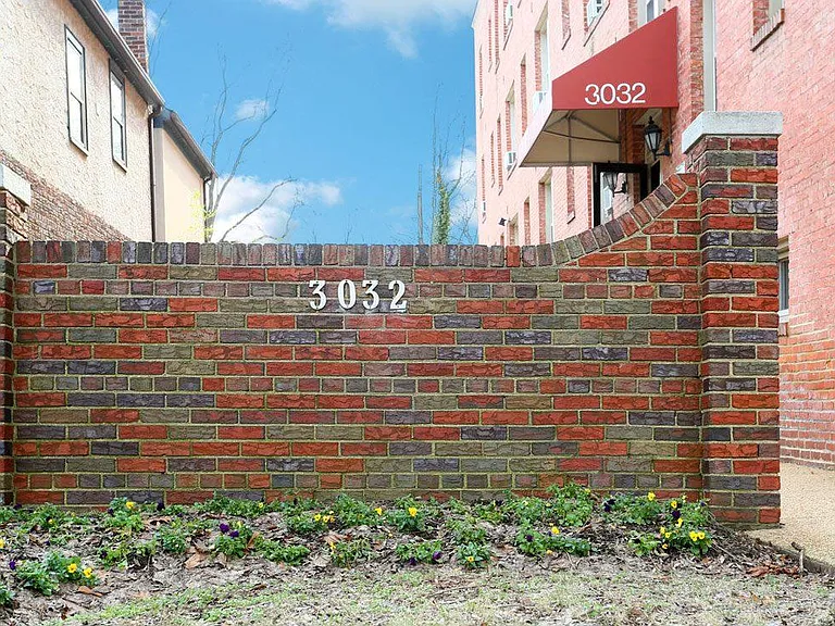 Rodman — Photo 12