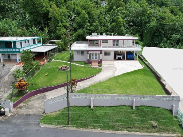 Carr 818 Int 1.0 Bo Cibuco Lot B, Corozal, PR 00783