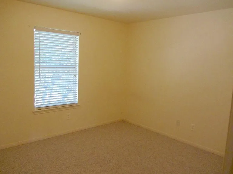 1815 Hickory Ridge Cv — Photo 23