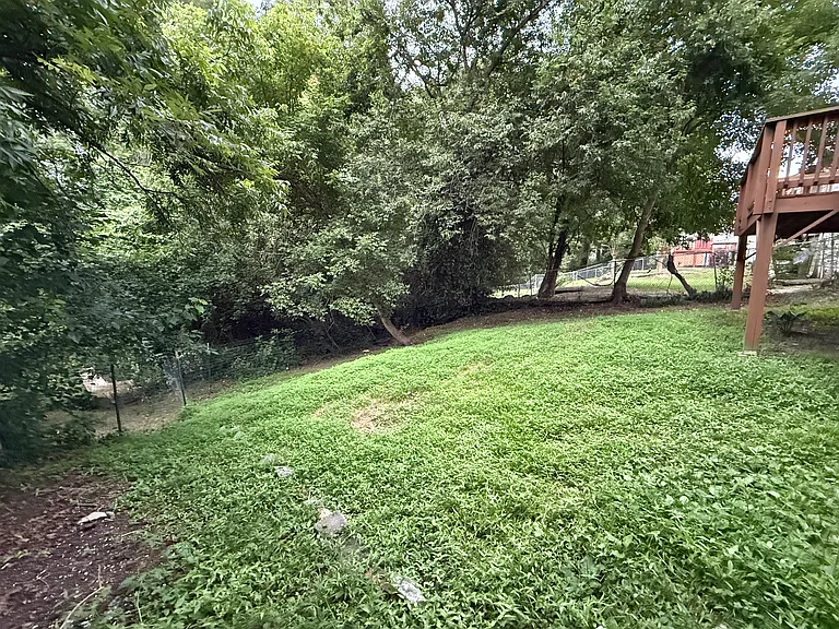 Backyard 2