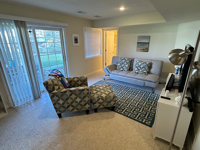 Basement living room