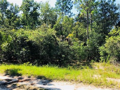 6680 W Tortoise Ln, Homosassa, FL, 34448