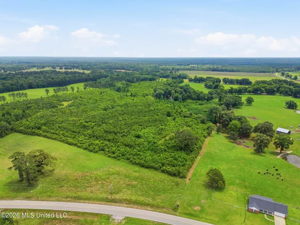 State Highway 29 Lot 4, Ovett, MS 39464