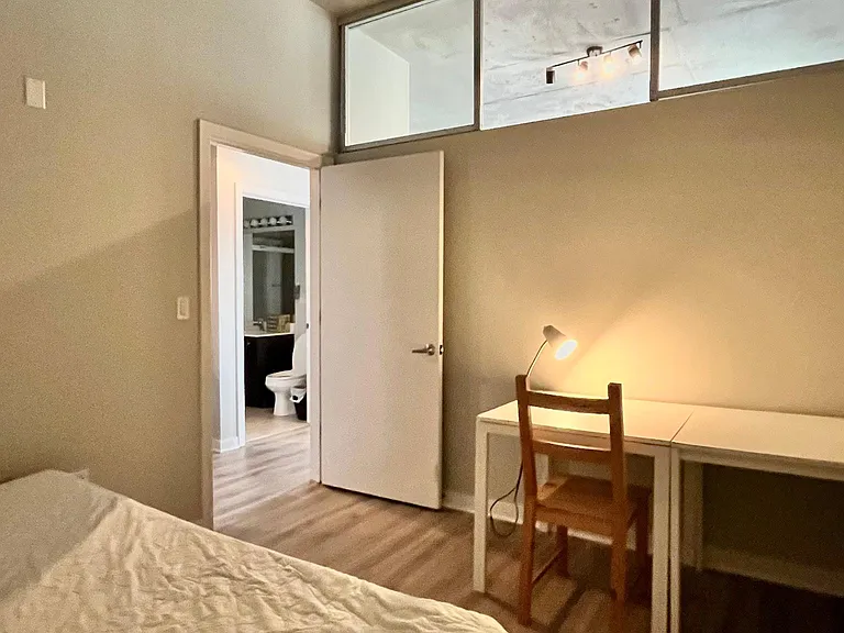 235 W Van Buren St #3114 — Photo 11
