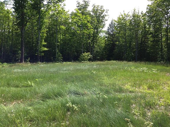 5th image of Tbd County Road 550