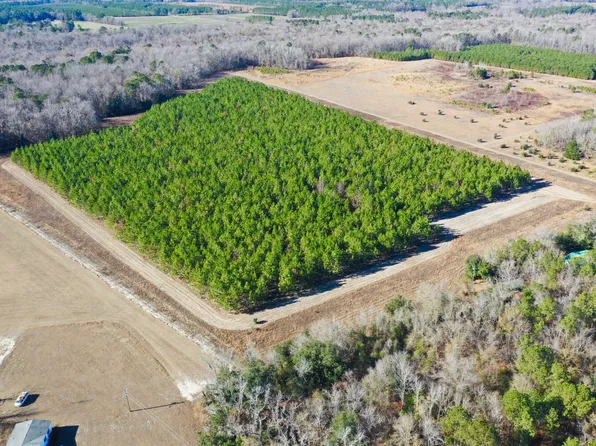 6046 Puddin Swamp Rd, Turbeville, SC 29162