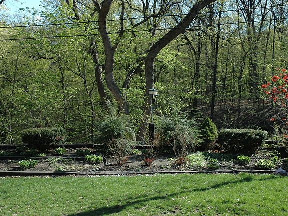 backyard and gardens