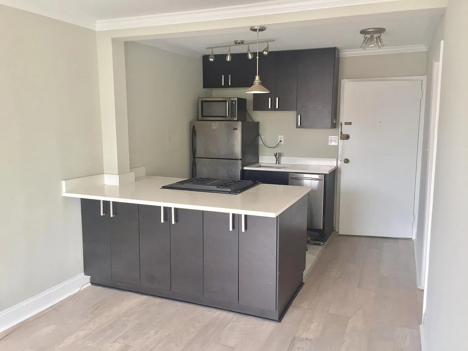 Studio, 505 sqft, $2,000 — Photo 3