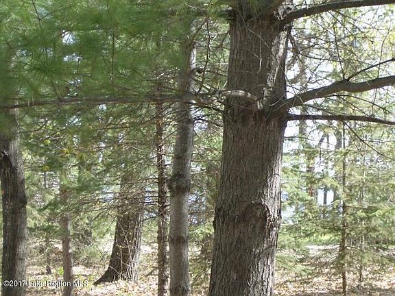 4th image of 38897 S Marion Dr