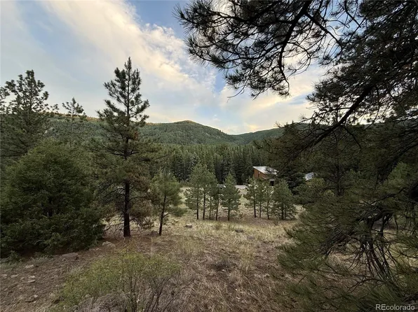 2 Beaver Trail, Antonito, CO 81120
