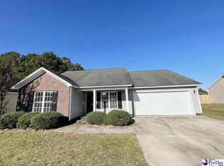 3058 Red Berry Cir, Effingham, SC 29541