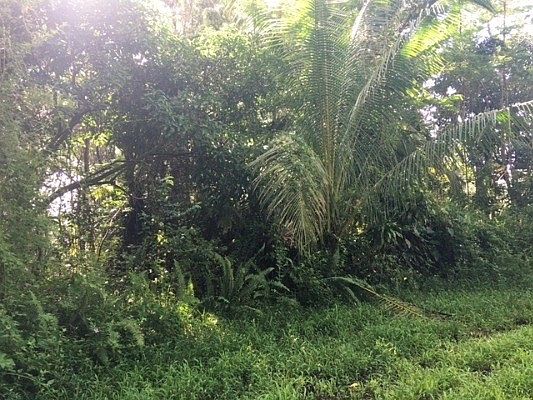 5th image of Coral Cir Lot 375
