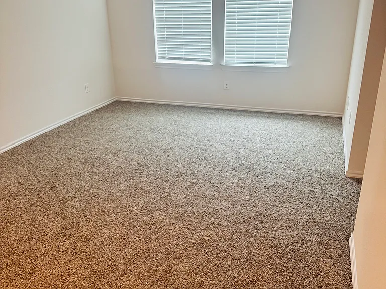 3924 Limestone Bluff Dr — Photo 13