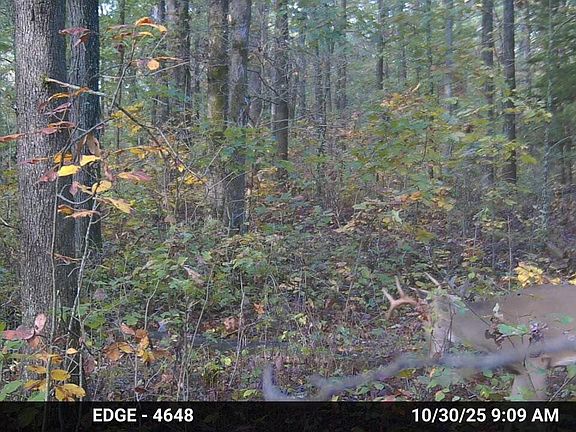 4th image of 20476 E 1700 Road