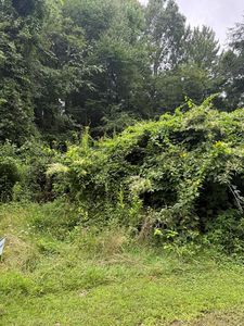 Rabbit Hollow Ln, Fries, VA, 24330