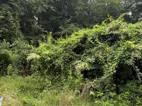 Rabbit Hollow Ln, Fries, VA 24330