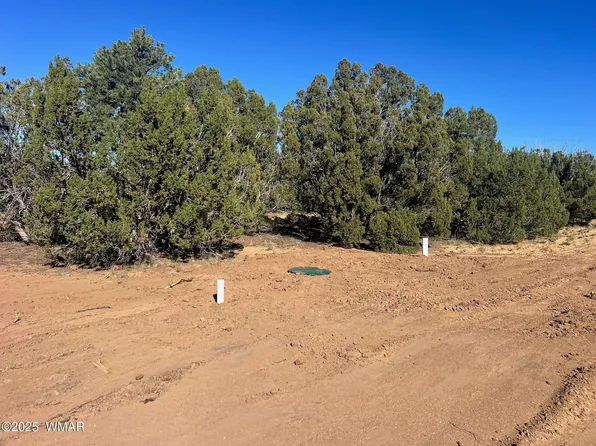 96 County Road 3041, Concho, AZ 85924