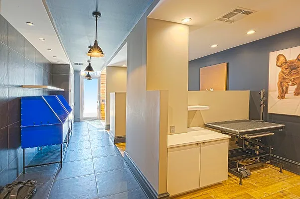 Rented by City View Living | media 54