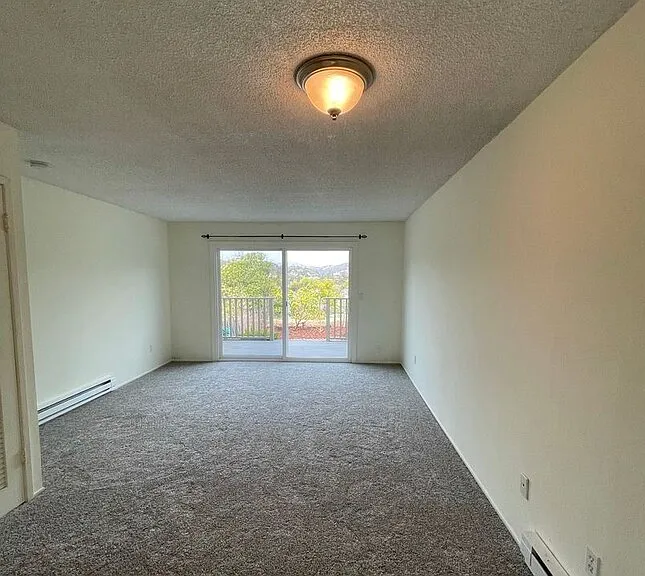 237 Picnic Ave #38 — Photo 4