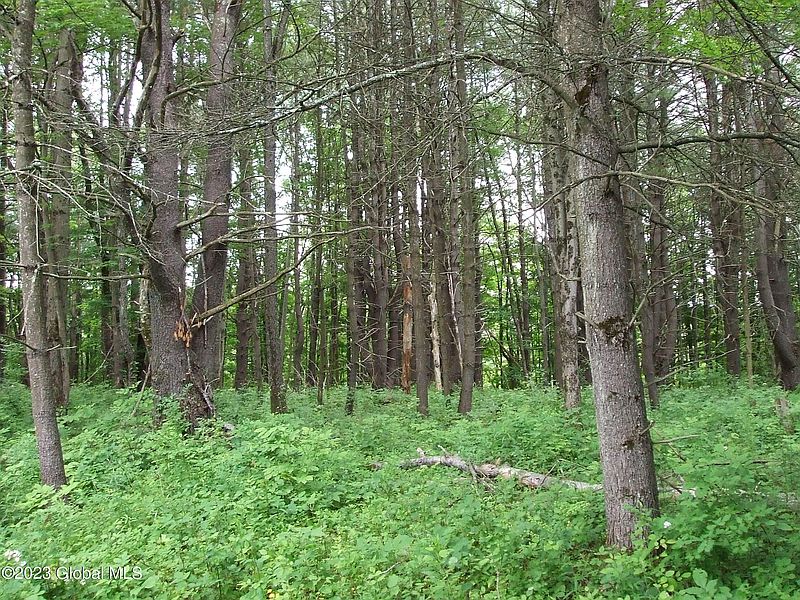 5th image of L92 Waters Road