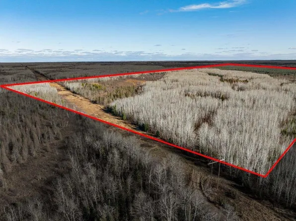 Tbd County Road 60, Grand Rapids, MN 55744