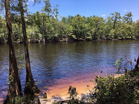 River beach behind house