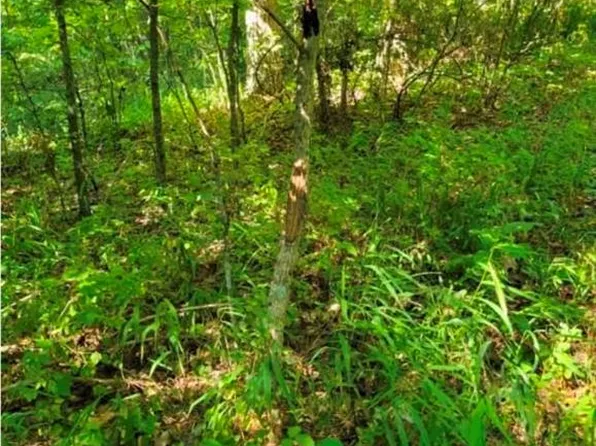 0 County Highway 410, Ellington, MO 63638