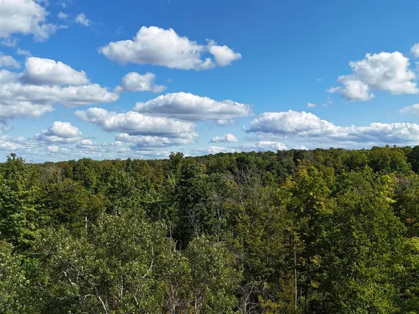 Hency Rd, Kingsley, MI 49649