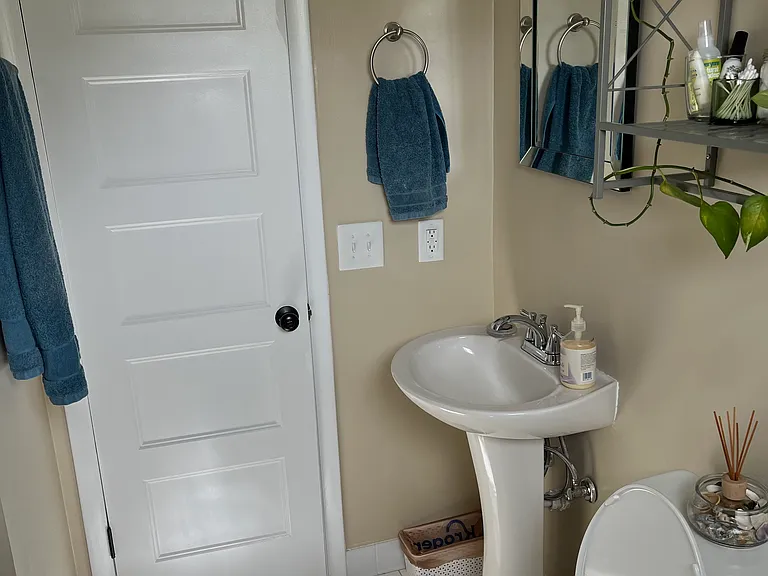 hall bathroom (example with furnishing)