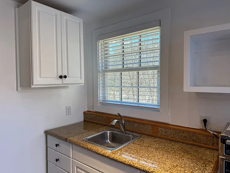 117 Lower Grassy Branch Rd — Photo 7