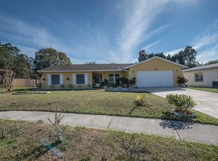 3905 Casaba Loop, Valrico, FL 33596